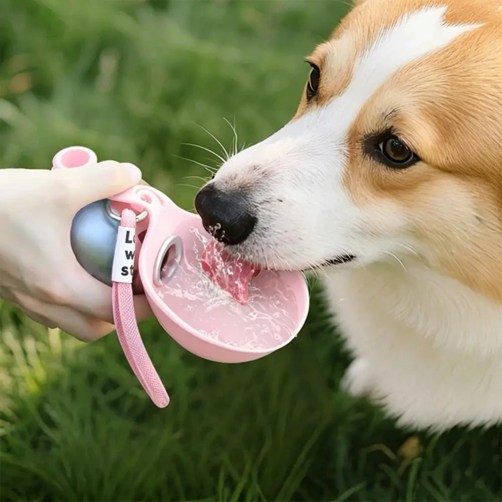 Portable Dog Water Bottle